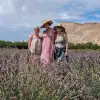 Taking a pedicab to Colorado Lavender Festival in Palisade, CO with Palisade Pedicab