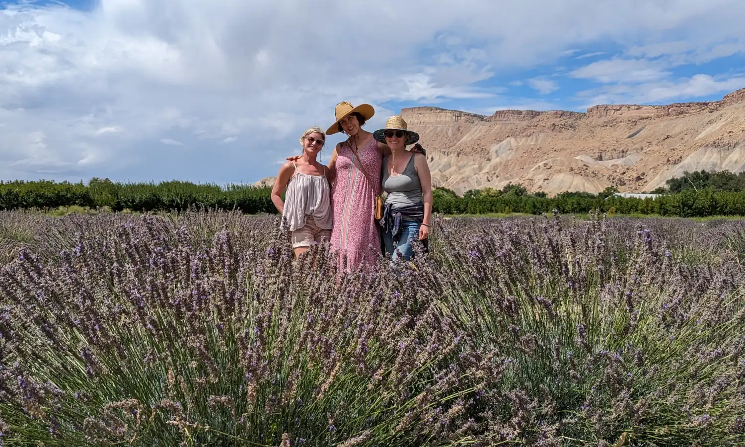 At a Lavender farm during a Wine Tour in Palisade with Palisade Pedicab